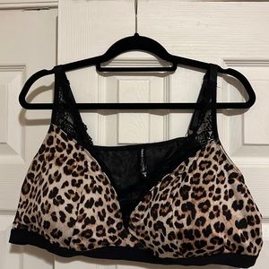 Torrid Bralette